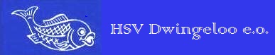 HSV Dwingeloo e.o.